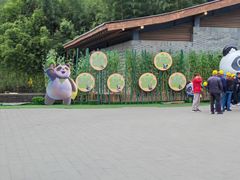 -都江堰中华大熊猫苑