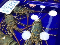 -盒马鲜生(大成店)