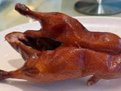 BB鸭-利苑酒家(宜安广场店)