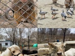 -水上乐园·欢乐世界