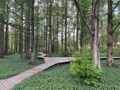 -国家植物园南园