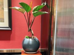 -皇城根·鲁菜济南菜·吊炉烤鸭·炒鸡鱼头(济南旗舰店)