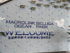-芜湖新华联大白鲸海洋公园