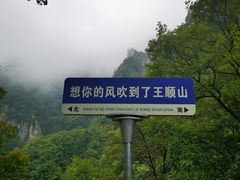 -王顺山国家森林公园