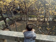 -沣峪森林公园龙潭戏水景区