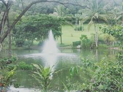 -热带雨林自然公园