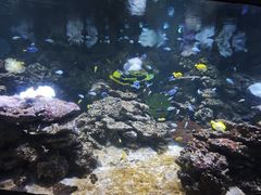 -南昌融创海世界