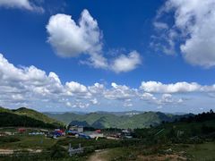 -齐岳山