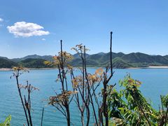 -望湖烤鱼