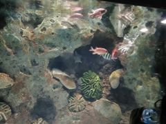 -苏州海洋馆
