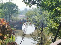 -江心屿景区