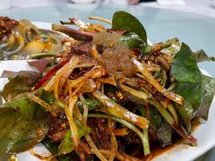 凉拌折耳根-喜洋洋(中山四路店)