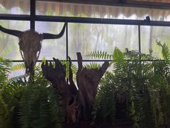 -野蔓果·山野菜(西湖景区·龙井茶田店)