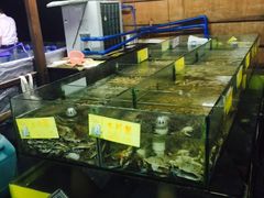 水产区-岛中岛·海鲜大排档·万宁老字号(东澳店)