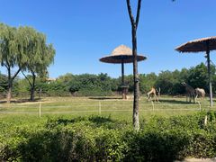 -济南野生动物世界