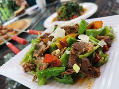 炒鸽子-天羽烤乳鸽店(财大家属院店)