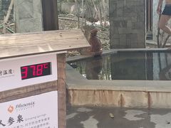 -张家港金凤凰度假村温泉