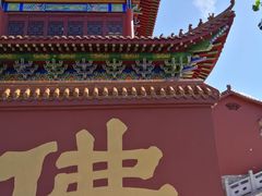 -长沙黑麋峰国家森林公园