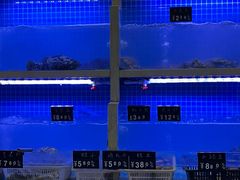 -威海渔村(静安旗舰店)