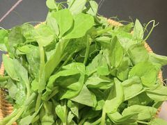 -季季山·云南野生菌火锅(上海首店)