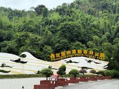 -西双版纳原始森林公园