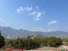 -白水寺森林公园