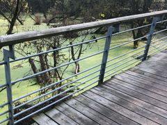 -西湖风景区-江洋畈生态公园