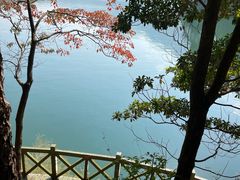 -广州市流溪河国家森林公园