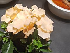 -曼格纳·曼芯馆(杨浦店)