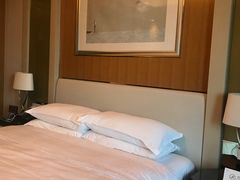 -常州武进九洲喜来登酒店