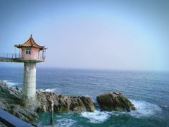 -小麦岛公园