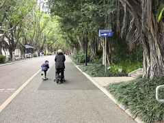 -南宁南湖公园