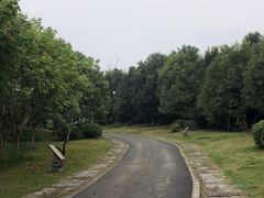 -白鹭湾湿地公园