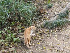 -敬亭山风景名胜区