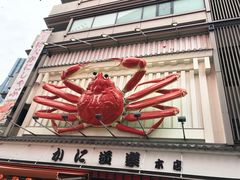 -蟹道乐(道顿堀本店)