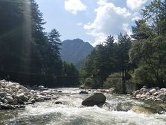 -黑河国家森林公园