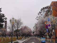 -西南民族大学南区(双流校区)