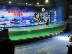 -重庆欢乐海底世界