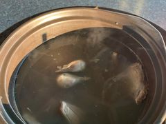 鸽子火锅-皇鸽餐厅(龙塘店)