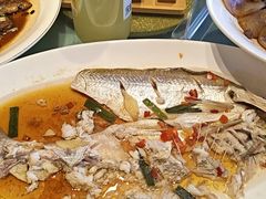 -西塘人家•黑金冠本地好店