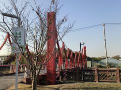 -菊园百果园