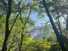 -秦岭终南山世界地质公园翠华山景区