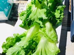 -三国惹火烤肉·中日韩烤肉集合店(百草路店)