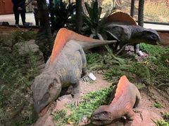 -湖南省地质博物馆