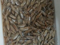 -宾朋海鲜特色美食餐厅·纯手工鲅鱼水饺(兴海路店)