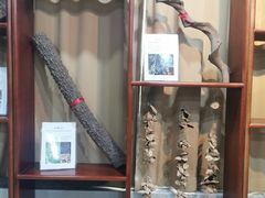 -广东药科大学(广州校区大学城校园)