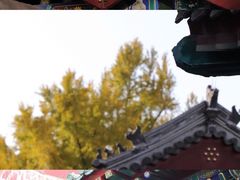 -恭王府博物馆