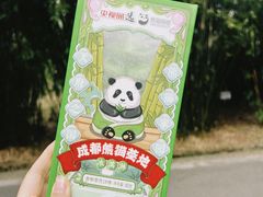 -成都大熊猫繁育研究基地