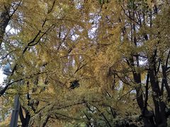 -四川大学(华西校区)