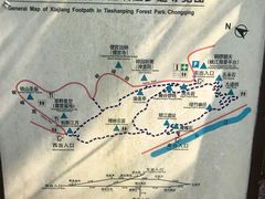 -铁山坪森林公园